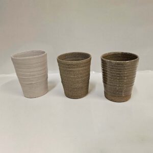 Stengodslera WMS2005GG